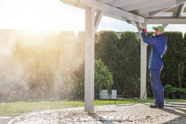 Pre-Holiday Cleaning in Edgemoor, DE